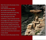 Mark Vitaris | Áísínai'pi / A Visual Quest Book