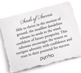 Pyrrha | Seeds of Success Talisman necklace