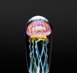 Satava | Gold Ruby Jellyfish
