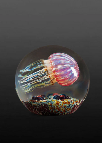 Satava | Gold Ruby Jellyfish, Side swimmer