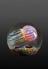 Satava | Gold Ruby Jellyfish, Side swimmer