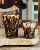 Baobab | SCENTED CANDLE HALONA YELLOW WORLD