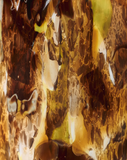 Baobab | SCENTED CANDLE HALONA YELLOW WORLD