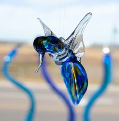 Glass Roots | Humming Bird