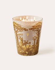 Baobab | SCENTED CANDLE SACRED TREES BOUNKANI