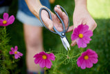 Bloomist | Niwaki Sentei Garden Scissors