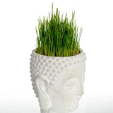 Vagabond Vintage | Cement Buddha Head Planter