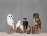 Aviologie | Owl - Barn - 13"H - Hand Carved Ornament