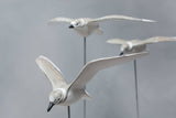 Aviologie | Plovers - Snowy - Flying Set of 3 - 17"H -Wooden Ornament