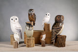 Aviologie | Owl - Saw Whet - 10"H - Hand Carved Ornament