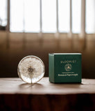 Bloomist | Dandelion Botanical Resin Paperweight