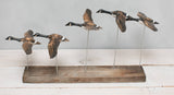 Aviologie | Canada Goose - Flying Set of 5 - 22"L -Carved Ornament
