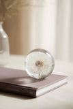 Bloomist | Dandelion Botanical Resin Paperweight