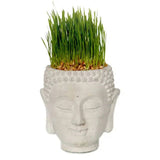 Vagabond Vintage | Cement Buddha Head Planter