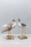 Aviologie | Sandpiper - Spotted - Wingdown - 10"H -Carved Ornament