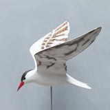 Aviologie | Tern - Flying - 17"H -Carved Wooden Ornament