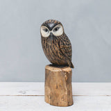 Aviologie | Owl - Saw Whet - 10"H - Hand Carved Ornament