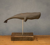 Aviologie | Hand Carved Wooden Sperm Whale — 10" on wooden Stand