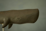 Aviologie | Hand Carved Wooden Sperm Whale — 10" on wooden Stand