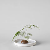 Bloomist | Round Stone Frog