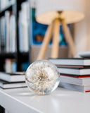 Bloomist | Dandelion Botanical Resin Paperweight