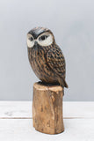 Aviologie | Owl - Saw Whet - 10"H - Hand Carved Ornament