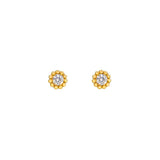 Beaded Studs - 10k Gold, CZ