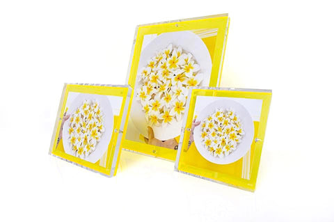 Fearless Snap Frame - 5x7 - Yellow