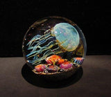 Moon Side Swimmer Jellyfish 5.5"