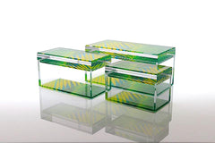 Accent Treasure Box - Palm Print