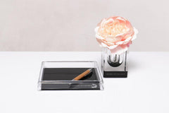 Voltage Tray Square - XS - Black