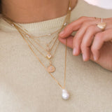 Coeur Necklace - Moonstone & Gold Plate with Gold Fill Chain 
