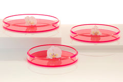 Infinity Nesting Trays - Red