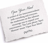 Pyrrha | Sterling Silver "Open Your Mind" Small Paperclip Talisman Necklace