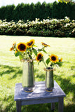 Michael Aram Sunflower Vase 